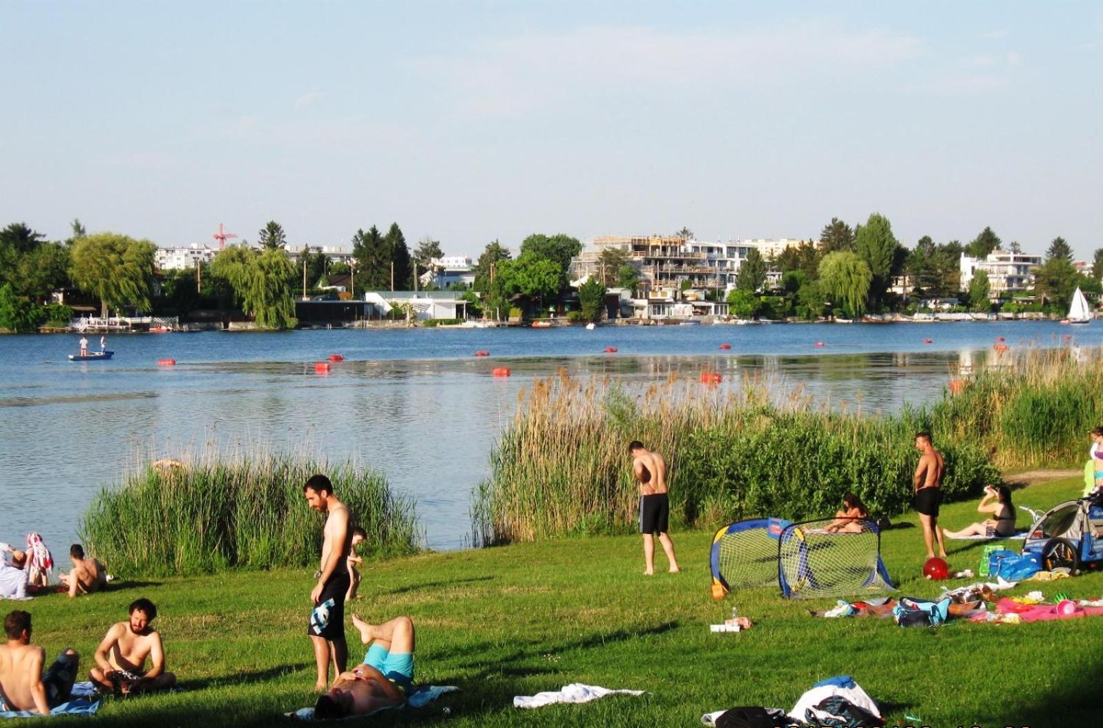 Yuki'S Place - Un-Vic, Danube Beach And Subway Near To Downtown Wien Exteriör bild